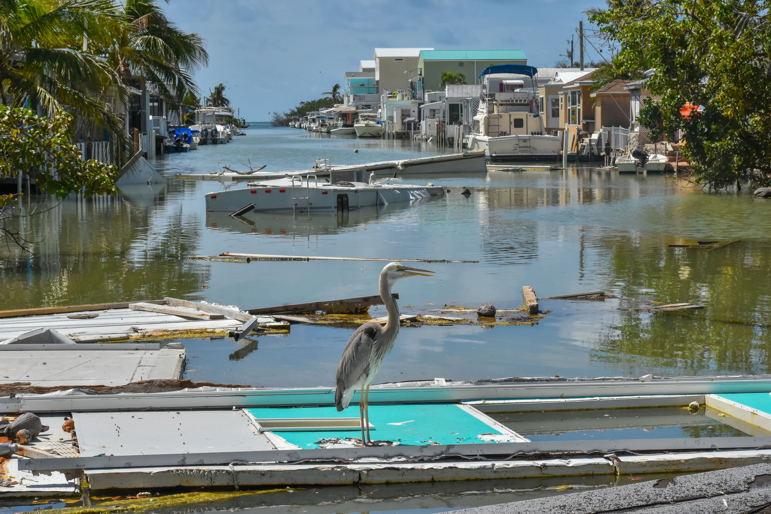 Debris filled canal in Marathon