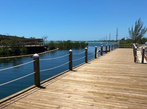 Boardwalk at Pine Channel Park overlooking water with tree in background